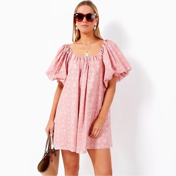 Tuckernuck Dresses & Skirts - Tuckernuck Hyacinth House Oakley Puff Sleeve Mini Dress in Medium